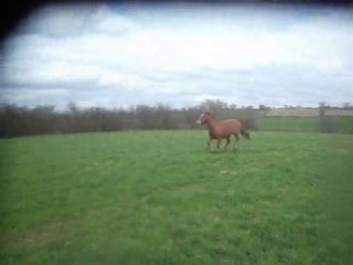 Wildstate production (http://Wildstate.skyrock.com)