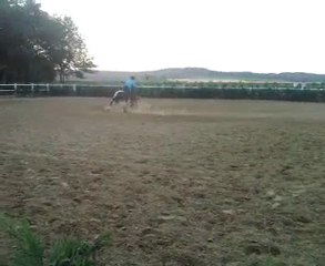 Barrel Racing Sheyen