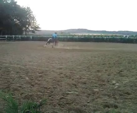 Barrel Racing Sheyen