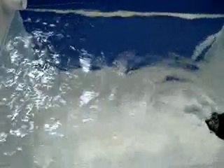 AQUAEL Reef Circulator 2600