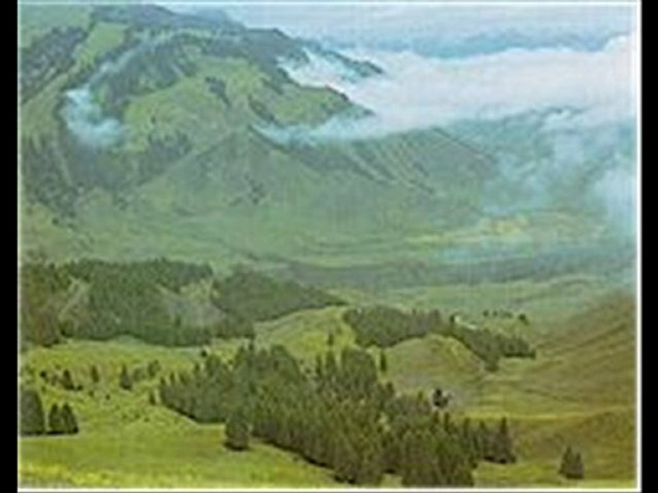 Mustafa Aksoy - Tanrı Dağları