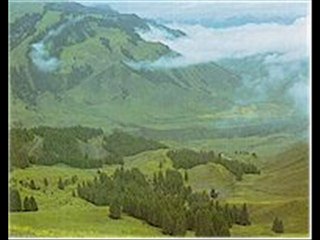 Mustafa Aksoy - Tanrı Dağları