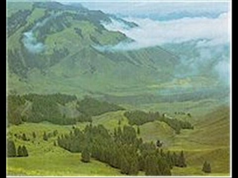 Mustafa Aksoy - Tanrı Dağları