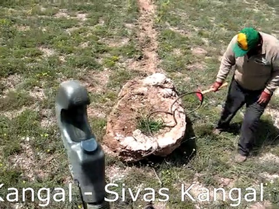 T6040 2010 Taş Sezonu-1