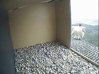 10 februari 2009 15uur30