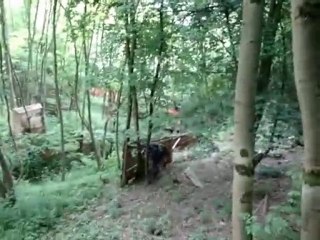 BLACKHAWK Paintball Moselle  - 19 06 2010