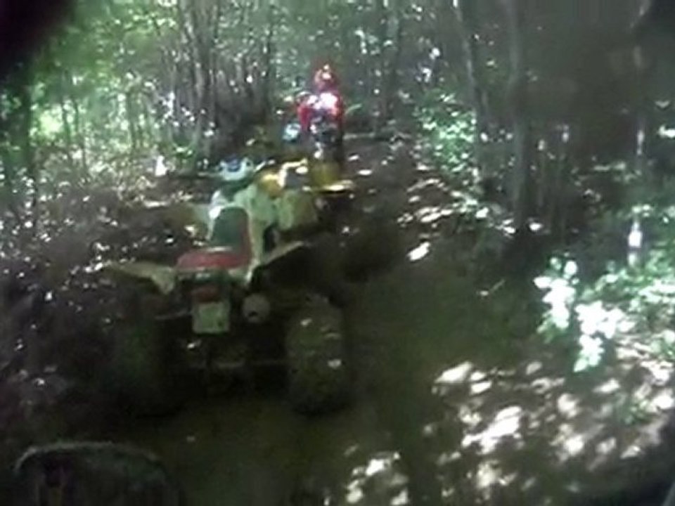 quad