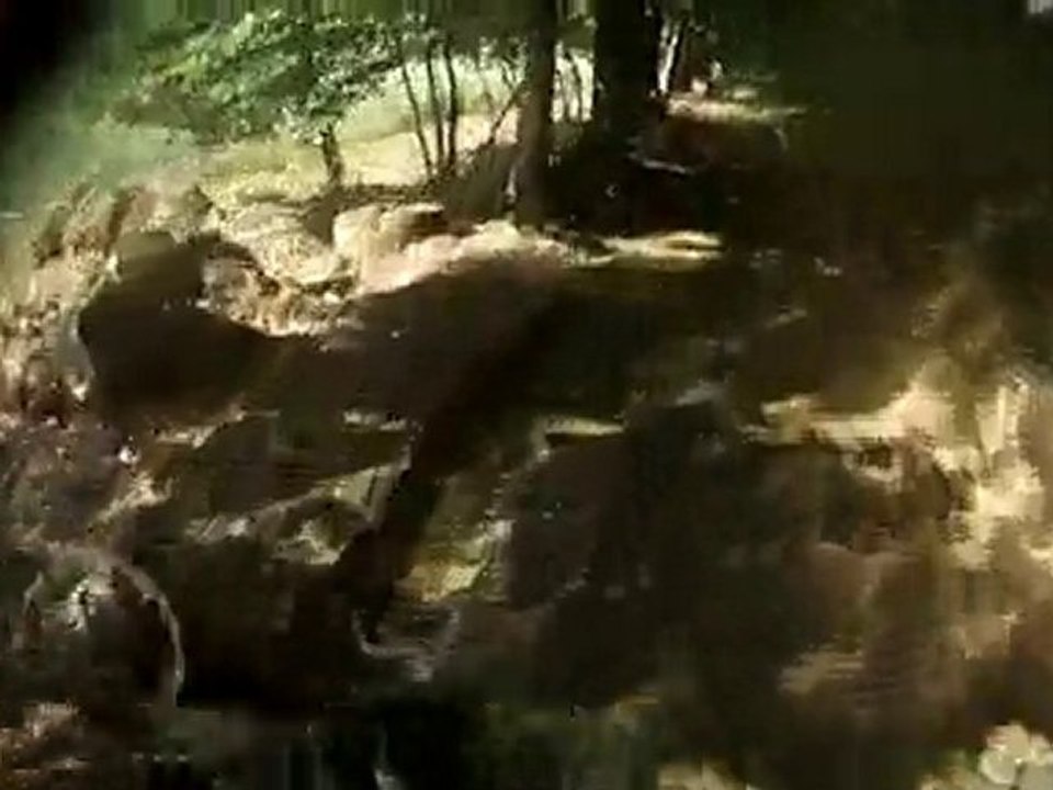 quad