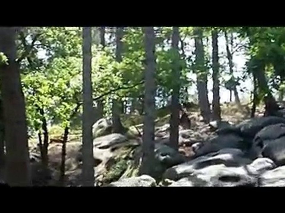 Larchant 26 juin 2010