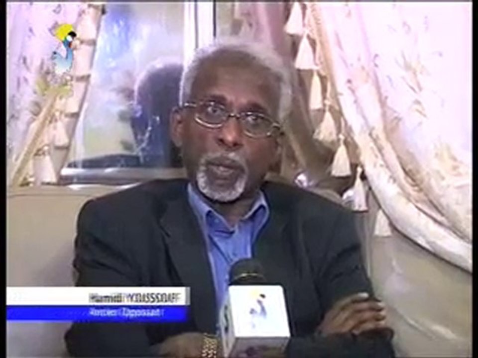 PETIT JT FRANCAIS  DU 28/06/2010 PAR TCHADONLINE.TV