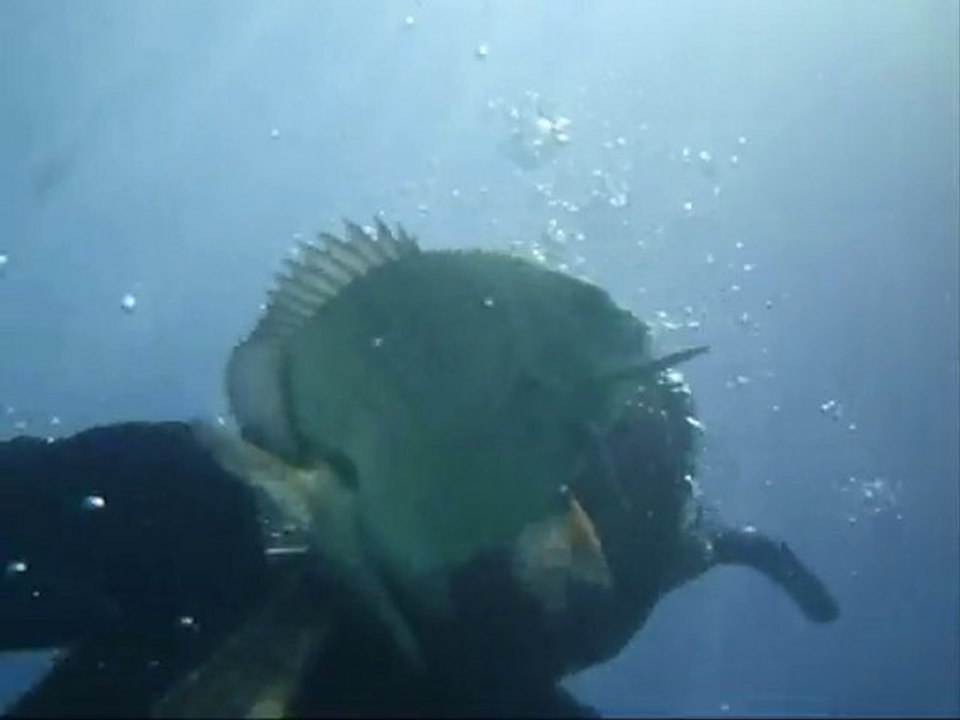 sortie du 26 juin 2010