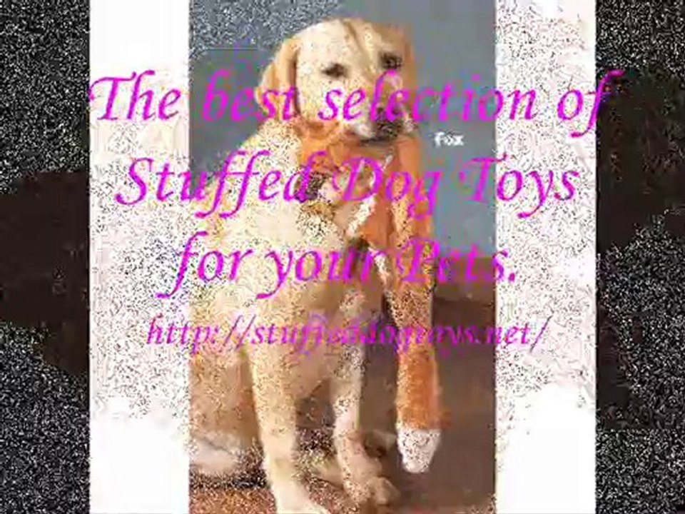 Stuffed Dog Toys
