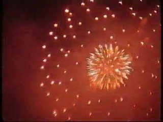 Grenouillade 2010 feu d'artifice