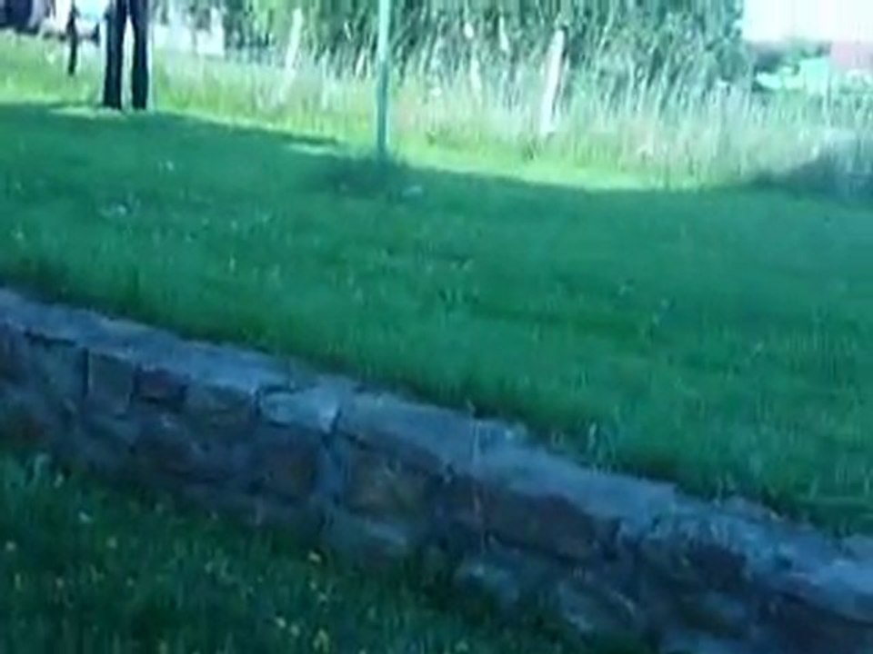 mini rémi