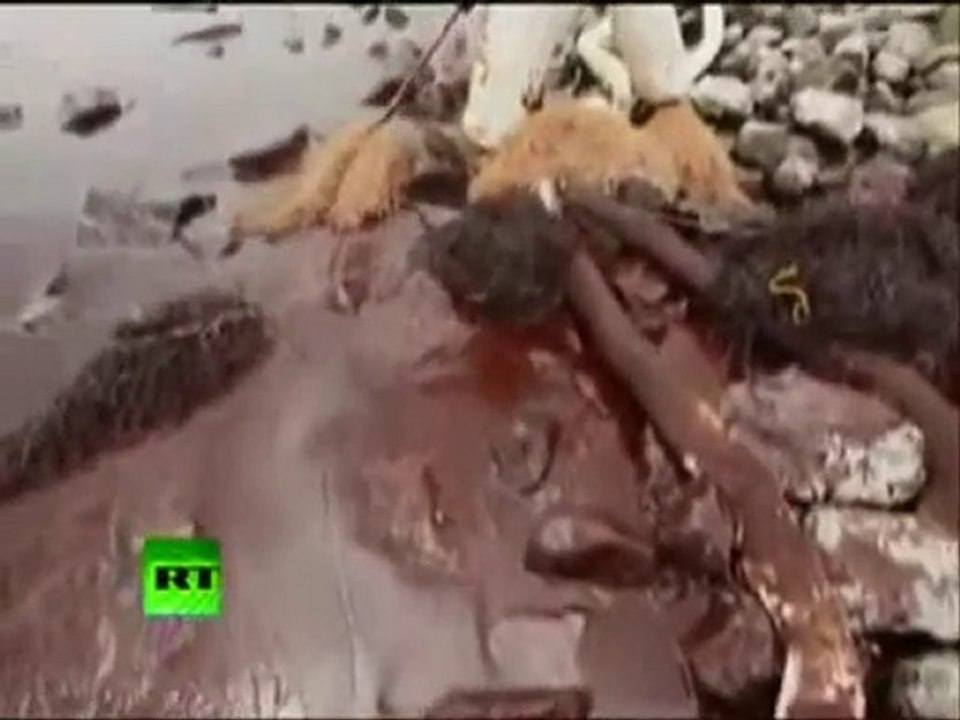 GULF OIL SPILL (BIBLE PROPHECY)