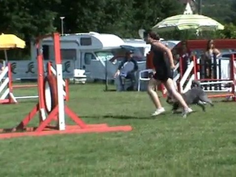 Moulins 2010 Evo jumping