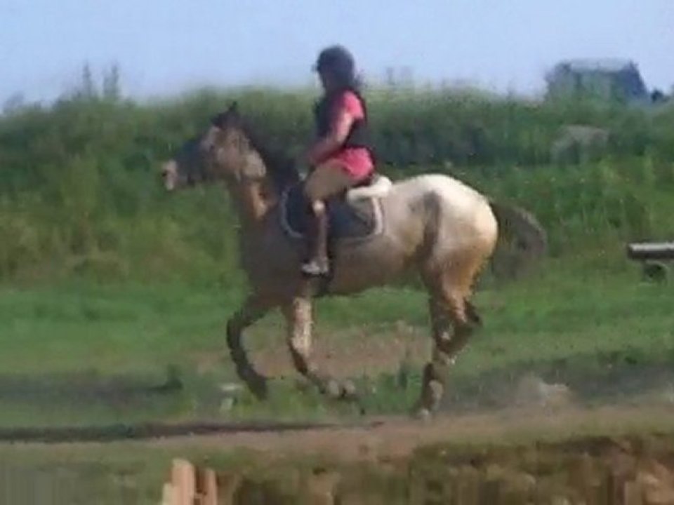 cross avec quercy le 28/06/2010 5