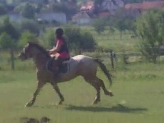 cross avec quercy le 28/06/2010 6