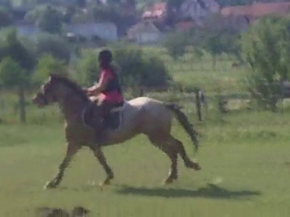 cross avec quercy le 28/06/2010 6