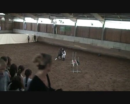 Spectacle Findez 2010 Monte en cordelette et liberté