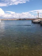 Hayata Dönüş