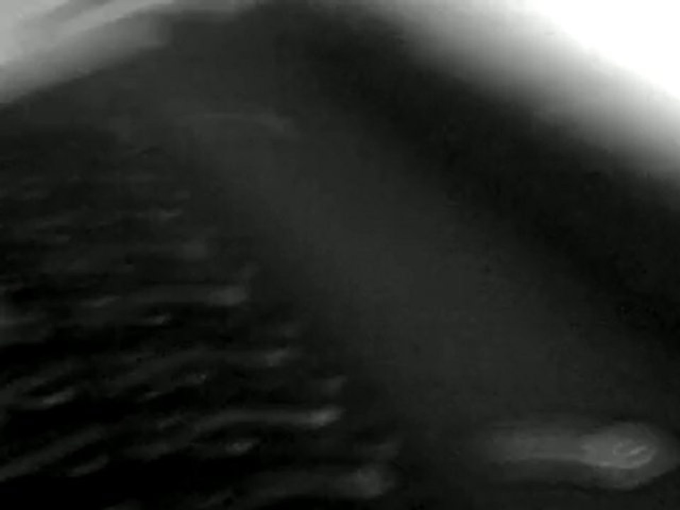 VID 00013-20100402-2229