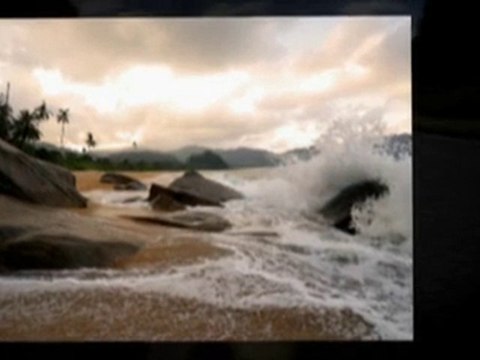 Affordable Online Adult Toys And Movies USA