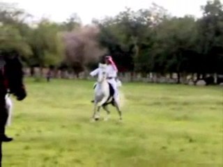 Dancing with the purebred Arabian horse Aghla Nassi