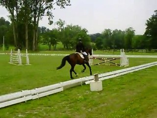 Socrate de  l'aclos ( par Fédor de seves)