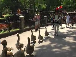 Efteling juni 2010
