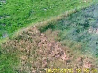 cessna 182 easy model