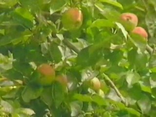 How can I keep from singing