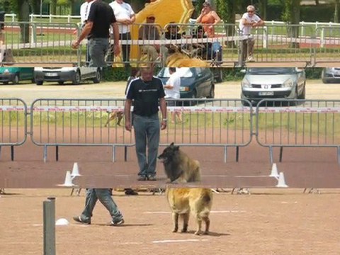 concours obe Saint Pol De Leon