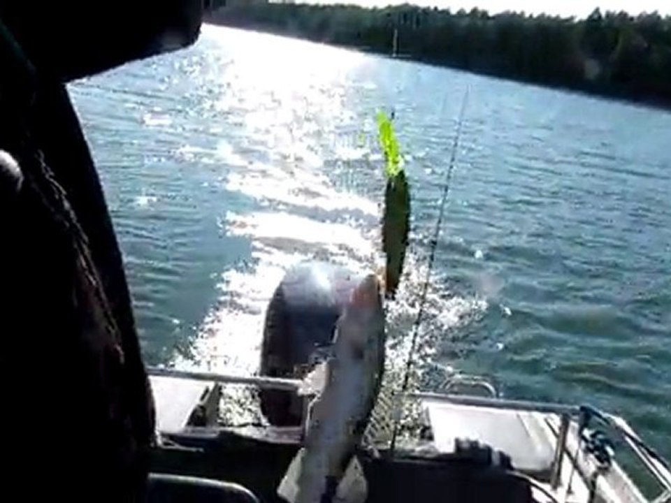 sudak avim 28.06.2010 001