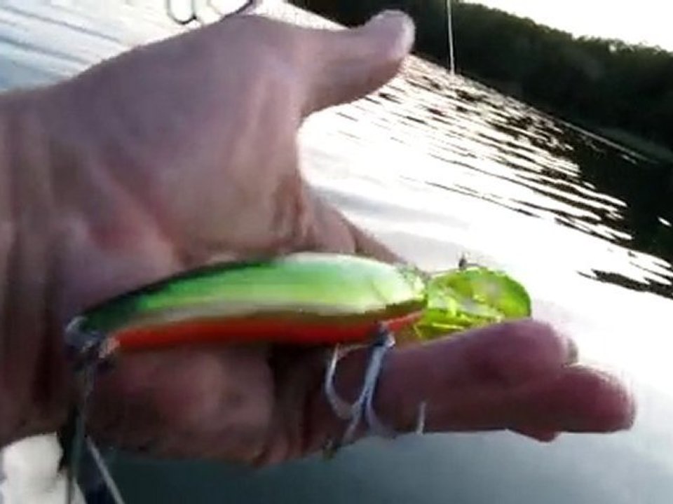 sudak avim 29.06.2010 003