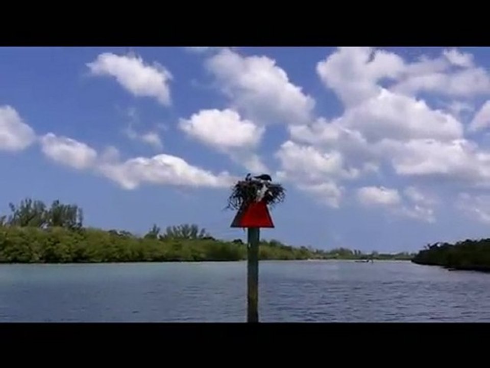 Oil in Florida