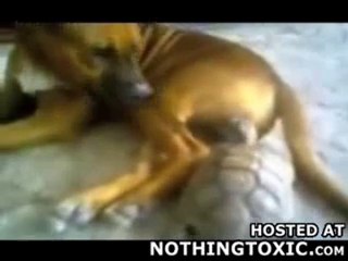 laisse pas trainer tes boules