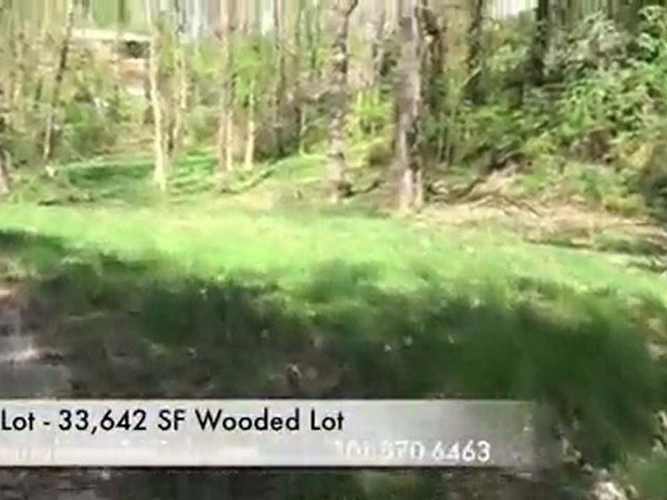 Glen Echo Md new home 4 sale 33,000 sf wooded lot for sale