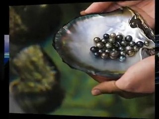 Bora Bora Four Seasons