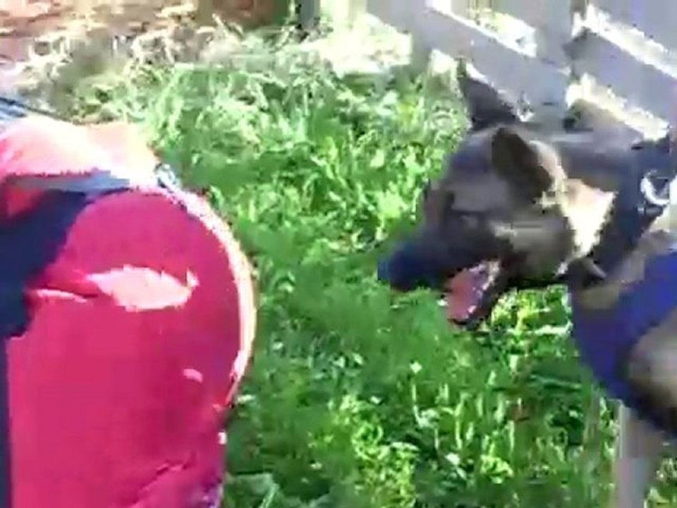 Tulikuuma Shakaali mondioring training 29.6.2010