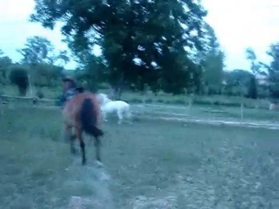 Saut en liberté