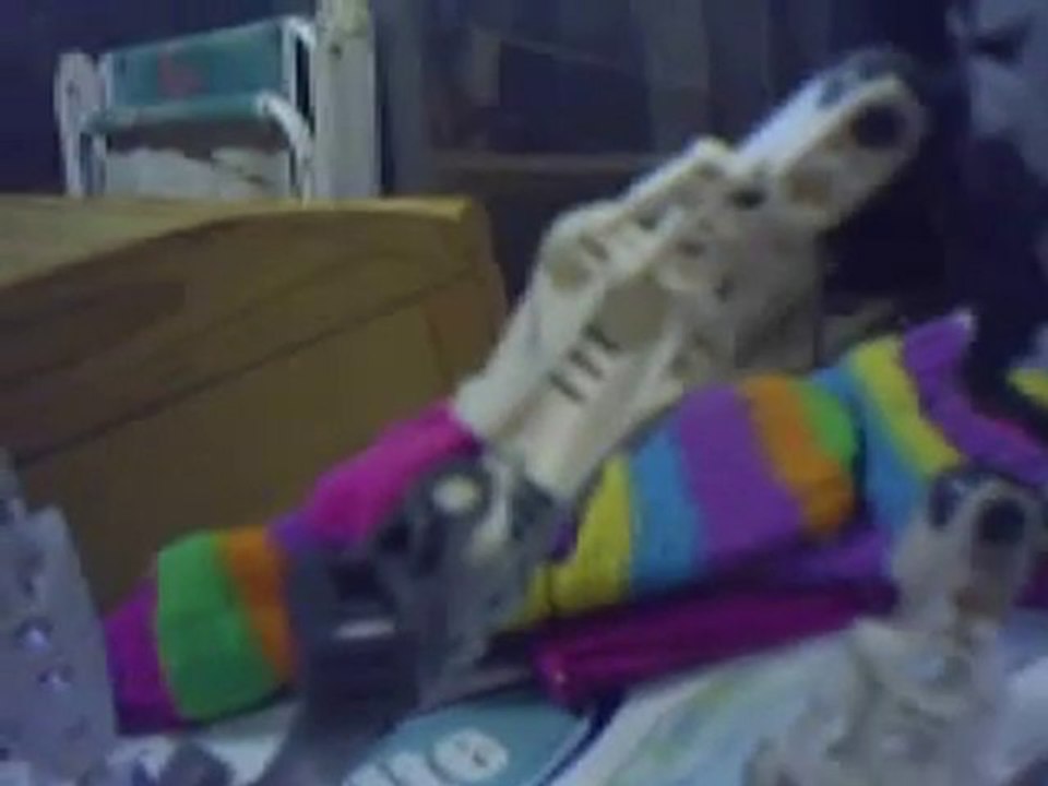 bionicle-kingdom