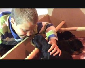 BROADWAY Bébés à 22 jours