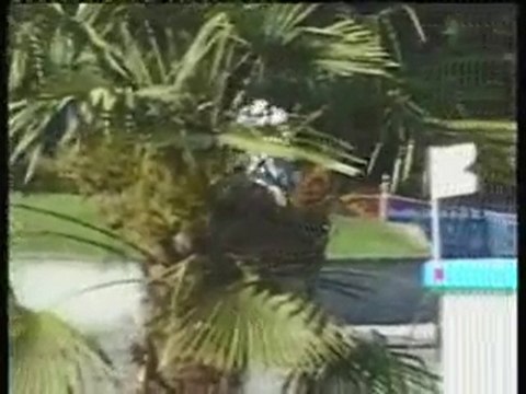 Gd Prix du CSO de PAU (Désir Champeix 2001)