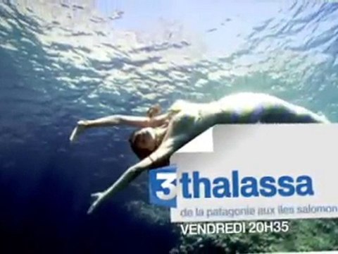 Thalassa : de la Patagonie aux îles Salomon