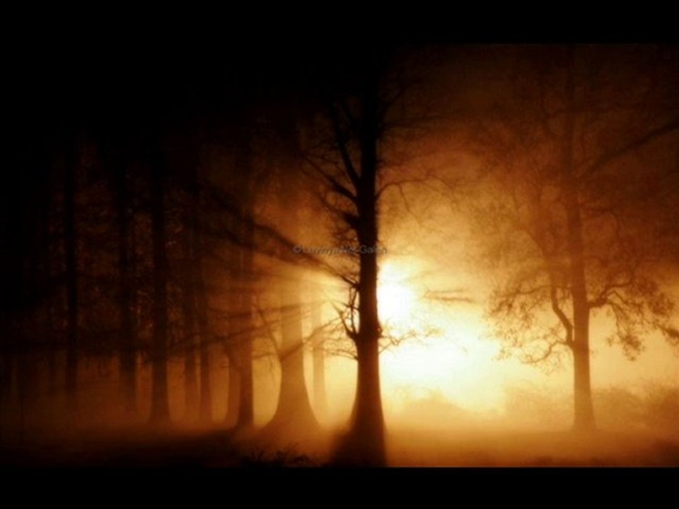 HASAN ER - ZAZACA KLAM