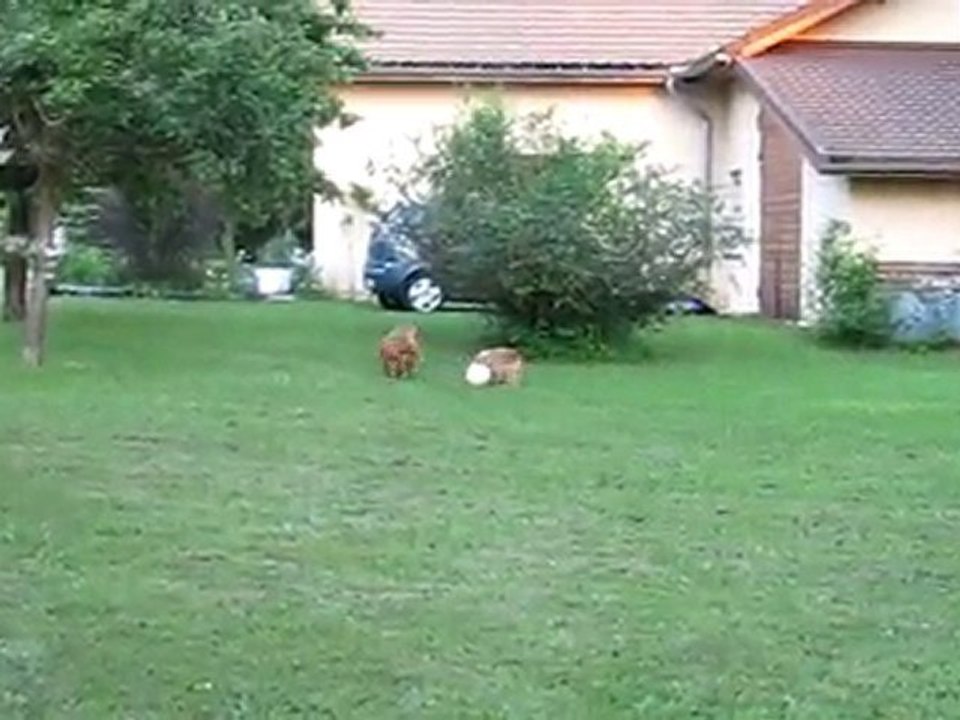 1..2..3 partez!