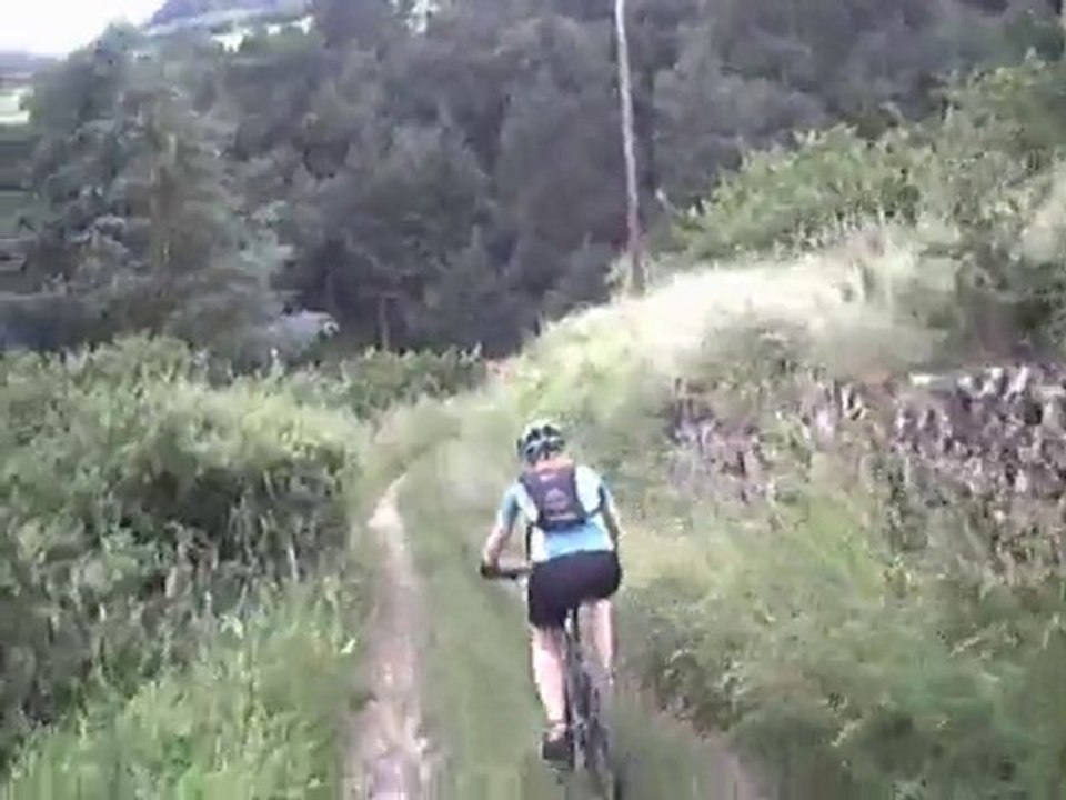 rallye des chats - partie 2