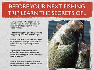 How To Crappie Fish Crappie Fishing