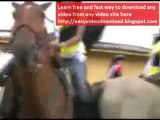 Horse Parade Fail, Horny Horse Assaults a Rider